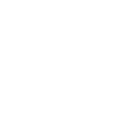 America First Policy Institute